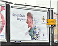 J3373 : Northern Ireland - Euro 2016 poster (Steven Davis), Belfast (May 2016) by Albert Bridge