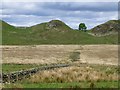 NY7667 : Hadrian's Wall Milecastle 39 by Russel Wills