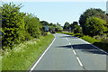 SZ2299 : A35 near Little Wootton Inclosure by David Dixon