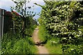 SD8634 : Footpath leading towards Widow Hill Road by Chris Heaton