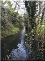 SP3780 : River Sowe north of Dorchester Way, Walsgrave, Coventry by Robin Stott