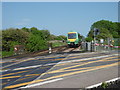 TQ6504 : A train approaching Pevensey Bay station by Marathon