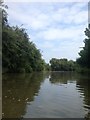 SP6486 : Grand Union Canal (Leicester Arm) (set of 7 images) by Dave Thompson