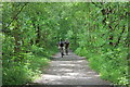 SH6918 : The Mawddach Trail approaching Penmaenpool by Jeff Buck