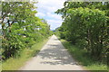 SH6718 : The Mawddach Trail by Jeff Buck