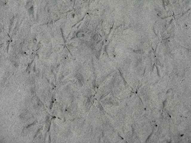 Marks in the sand at Luskentyre