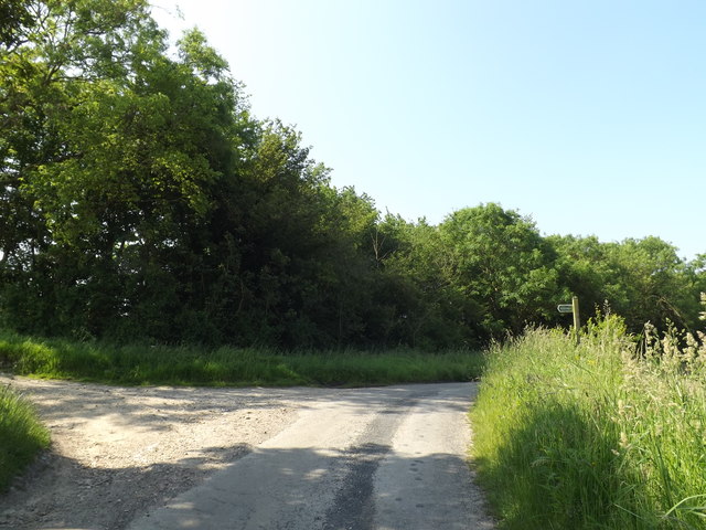 The Stone & Bridleway