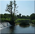 SP2556 : Weir as River Dene joins the Avon at Charlecote by Rob Farrow