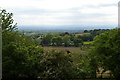 SJ4952 : View towards Duckington off the Sandstone Trail by Christopher Hilton