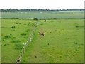 SP3943 : Fields on the site of the old Langley ironstone quarry by Oliver Dixon