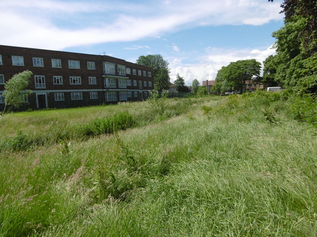 The nature area in Mayesbrook Park