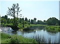 SP2556 : The River Avon in Charlecote Park by Rob Farrow