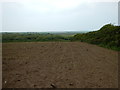 SW4025 : Newly Planted Field near St. Buryan by James Emmans