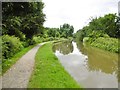 SK2504 : Alvecote, Coventry Canal by Mike Faherty