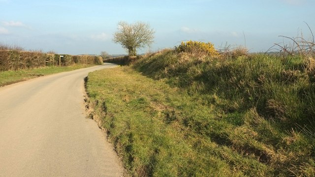 Wide verge at Herdicott Cross