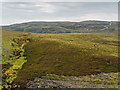 NH7025 : Glenkyllach Forest Grouse Moor by valenta