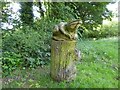 SJ8542 : Ferndown LNR: frog carving by Jonathan Hutchins