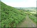 NY1930 : Open access path, north flank, Sale Fell by Christine Johnstone