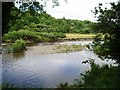 SN6180 : Afon Rheidol by Chris Andrews