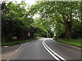 TL8978 : A1088 Thetford Road, Euston by Geographer