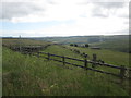 SE0907 : Footpath towards Upper Knowl by John Slater