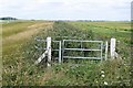 TL3099 : Nene Washes embankment by Alan Murray-Rust