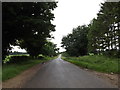 TL9183 : Kilverstone Road, Brettenham by Geographer