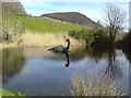 NH5130 : "Nessie" with Creag Nay in the background by Schlosser67