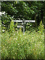 TL9678 : Roadsign on Fen Street by Geographer