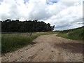 TL9384 : Field Entrance off Kilverstone Road by Geographer