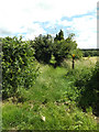 TL9484 : Footpath to West Harling Road by Geographer