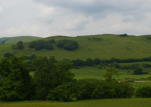 View across the Dyfi valley towards Coed Mawr