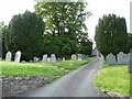 SO0288 : Yew trees in the churchyard, Llandinam by Christine Johnstone