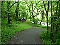 SN9186 : Path down to Afon Clywedog and Bryntail Mine by Christine Johnstone