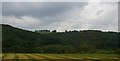 SO1796 : View across the Severn valley north of Abermule / Aber-miwl by Christopher Hilton