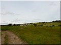 NZ1742 : View across to the ridge top by Robert Graham