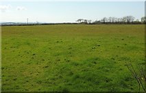  : Field near Curtis Cross by Derek Harper