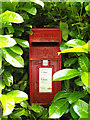 TM0179 : Thelnetham Road Postbox by Geographer