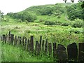 SH6504 : Slate fence, Dolgoch Station, Talyllyn Railway by Christine Johnstone