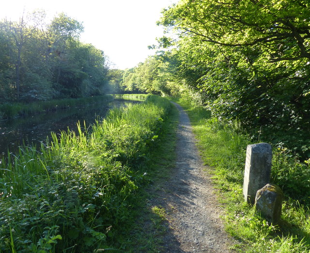 Union Canal towpath north of Winchburgh