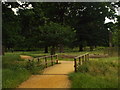 TQ1970 : Bridge over a stream, Richmond Park by Malc McDonald