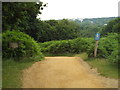 TQ2071 : Path in Richmond Park by Malc McDonald