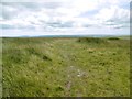  : Mynydd y Betws, path by Mike Faherty