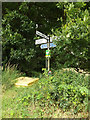 TL9879 : Roadsign on the C636 Nethergate Street by Geographer