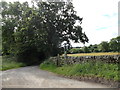 NZ1143 : Country lane near Steeley Farm, Satley by Robert Graham