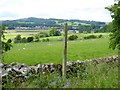 NY4530 : Fields at Millrigg Farm and a prospect of Greystoke by Oliver Dixon