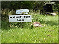 TM0480 : Walnut Tree Farm & Nutiles signs by Geographer