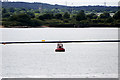 SU4209 : Gymp Marker Buoy, Southampton Docks by David Dixon