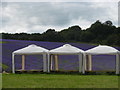 TQ5263 : A field of lavender at Castle Lavender Farm by Marathon