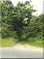 TM0080 : Fen Lane Footpath to the A1066 Thetford Road by Geographer